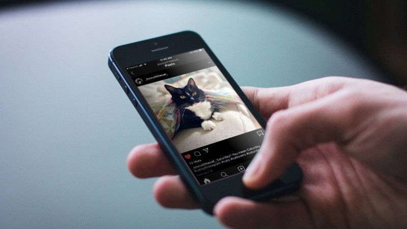 Passing the Digital Peace