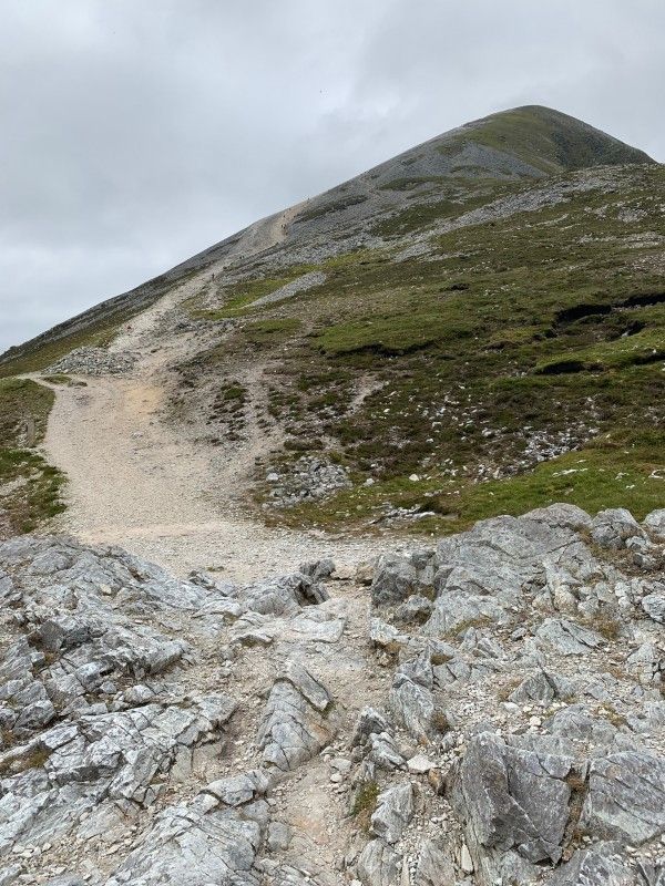Pathways