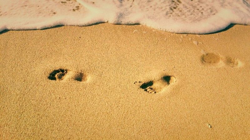 Next Steps -by Mark J.