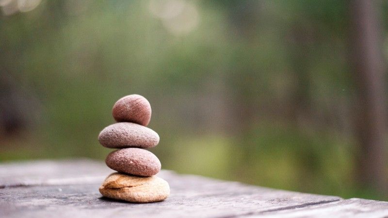Everything Belongs - Chapter 3