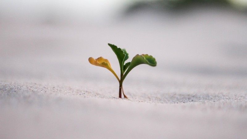 Our Invitation to Courage by Mark Johnson
