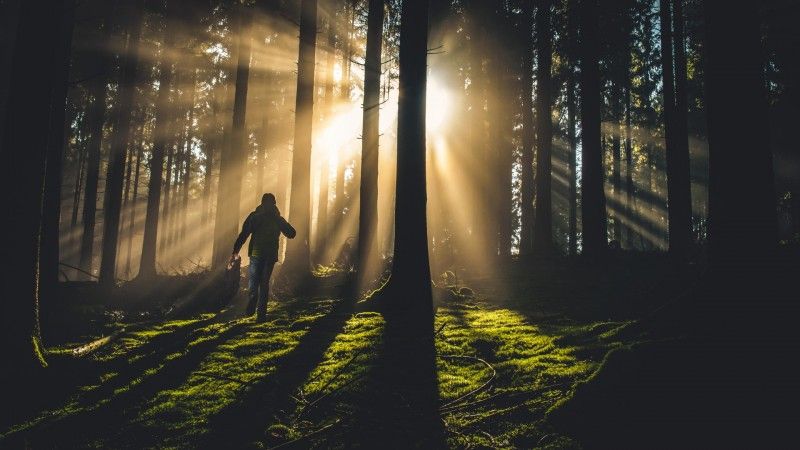 Everything Belongs - Chapter 6