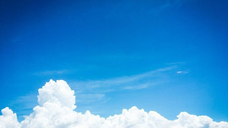 Update From the Transition Development Committee