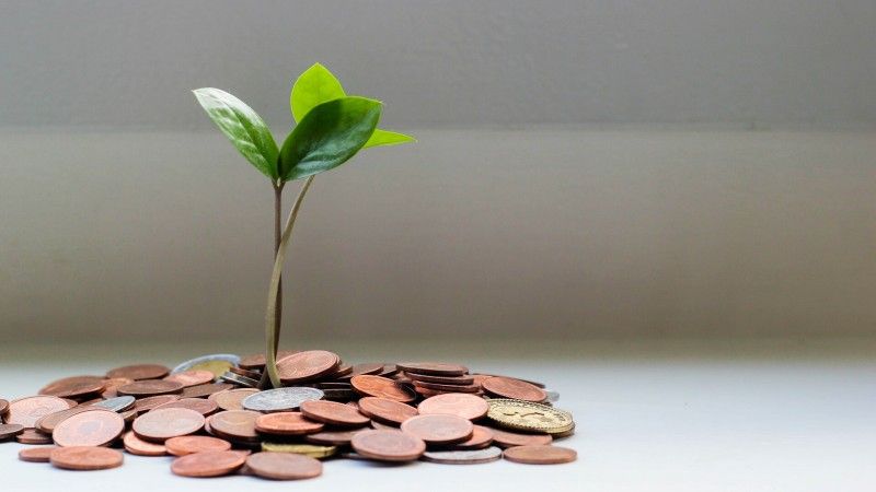 Financial Summer Update