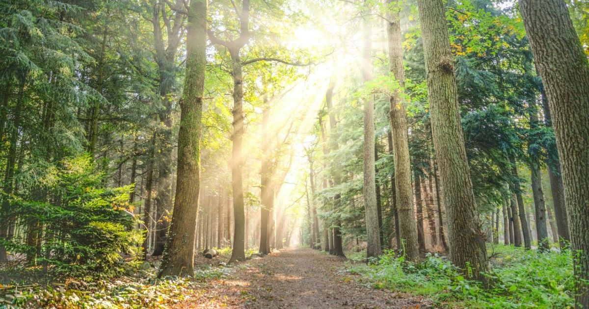 Invitation for Thoughtful Discussion on Our Future, Part 2