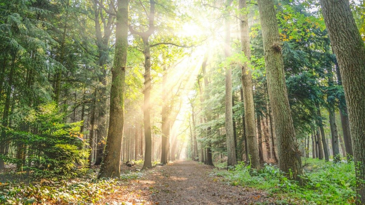 Invitation for Thoughtful Discussion on Our Future, Part 2