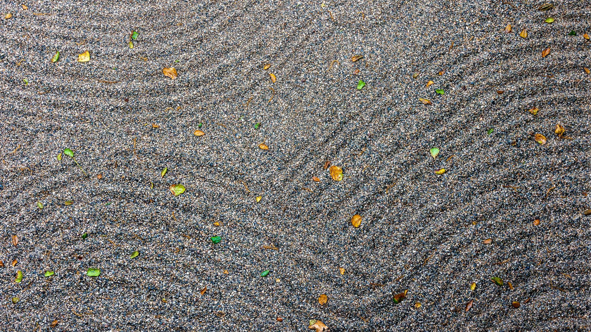 Morning Worship