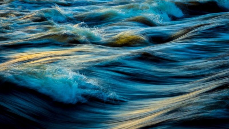 Everything Belongs - Chapter 5